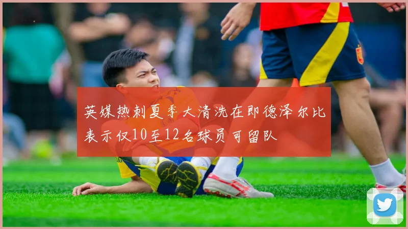 英媒热刺夏季大清洗在即德泽尔比表示仅10至12名球员可留队